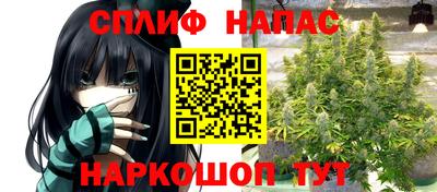 гашик Ставрополь