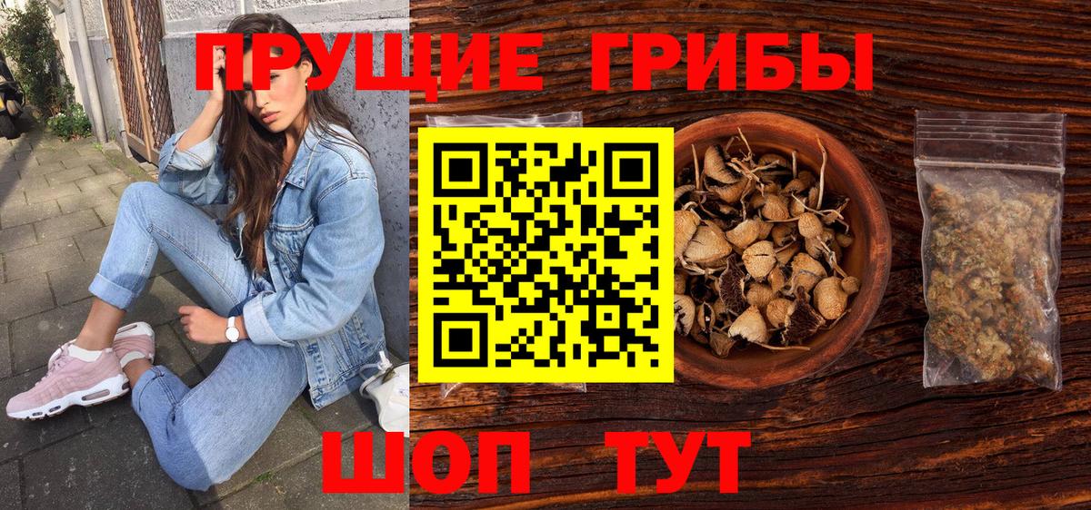 наркошоп  Псилоцибиновые грибы Psilocybine cubensis  Вход с VPN  Псков  Галлюциногенные грибы Psilocybe 